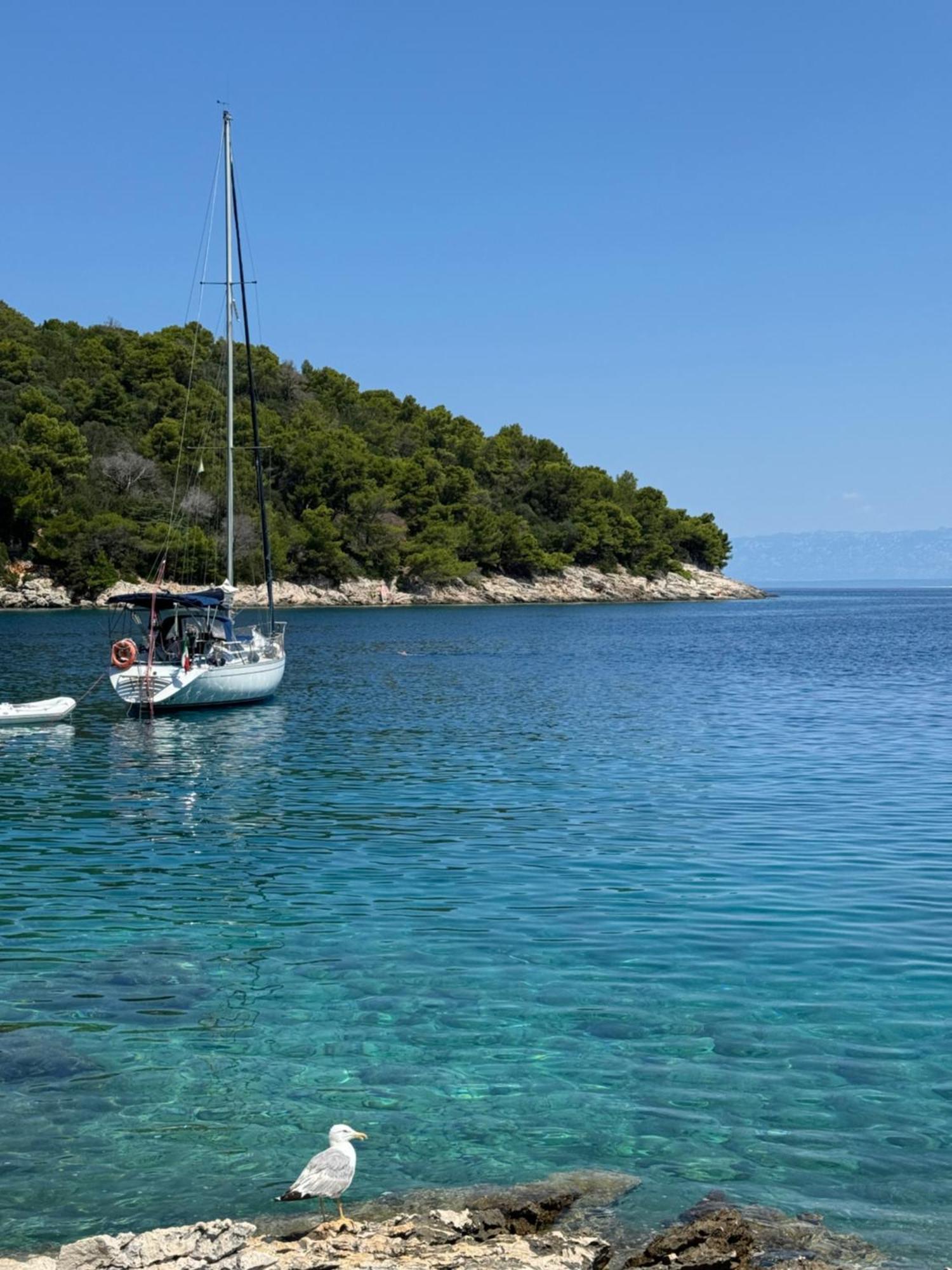 Studio Lorena Mali Lošinj Exteriér fotografie